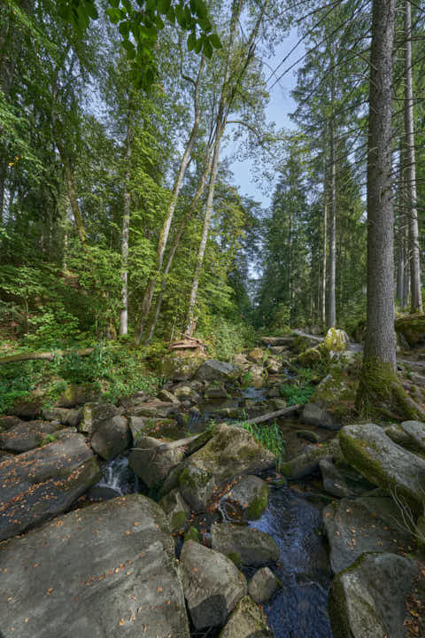 Gemeinde Waldkirchen Landkreis Freyung-Grafenau Saußbachklamm (Dirschl Johann) Deutschland FRG